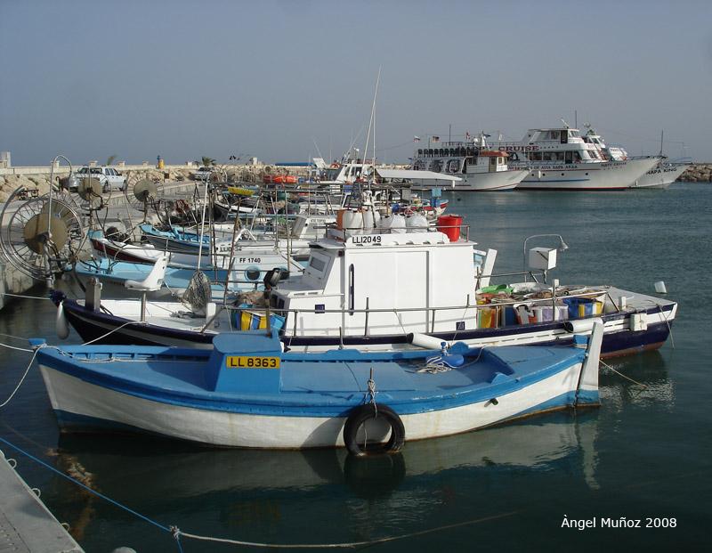 Foto de Ayia Napa, Chipre