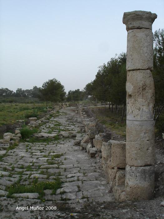 Foto de Salamina (Salamis), Chipre