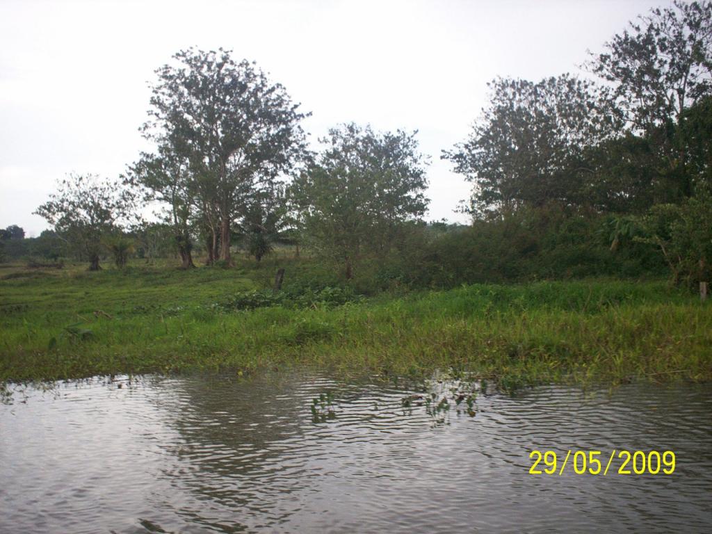 Foto de Río San Juan (San Carlos), Nicaragua