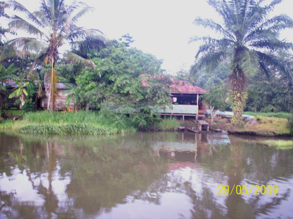 Foto de Sábalos (Rio San Juan), Nicaragua