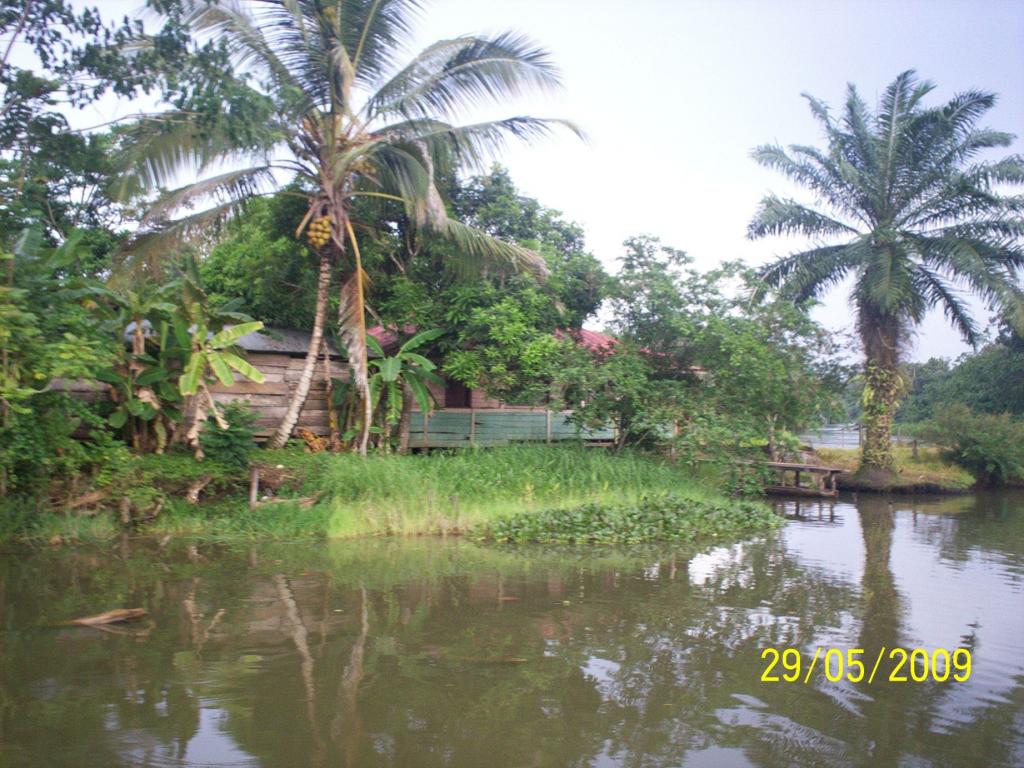 Foto de Sábalos (Rio San Juan), Nicaragua