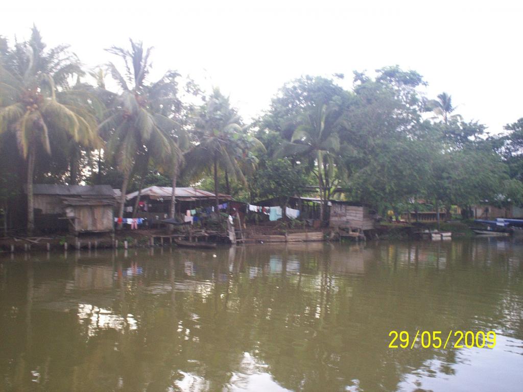 Foto de Sábalos (Rio San Juan), Nicaragua