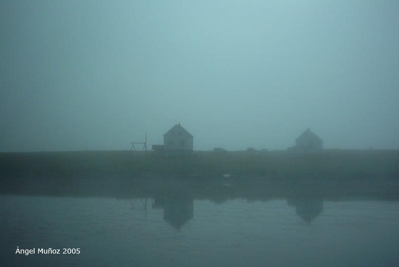 Foto de Bakkagata, Islandia