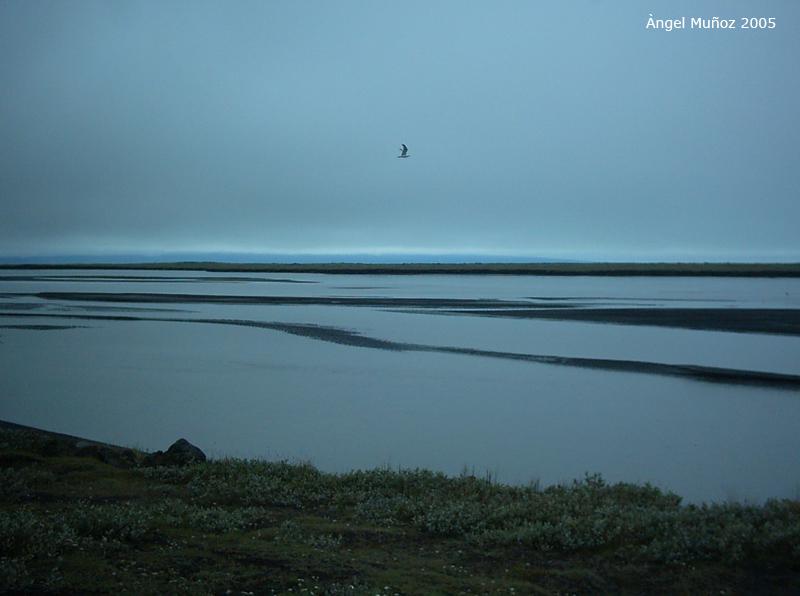 Foto de Prestholar, Islandia
