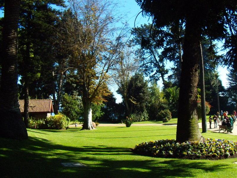 Foto de Viña del Mar, Chile