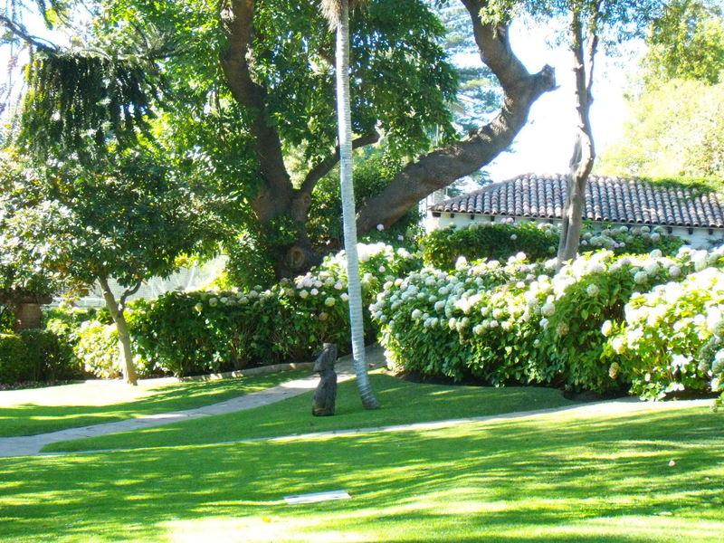 Foto de Viña del Mar, Chile