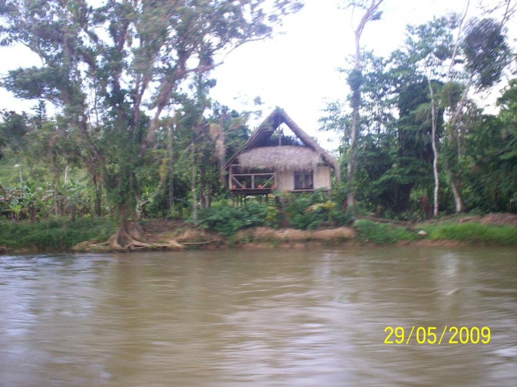 Foto de Sábalos (Rios San Juan), Nicaragua
