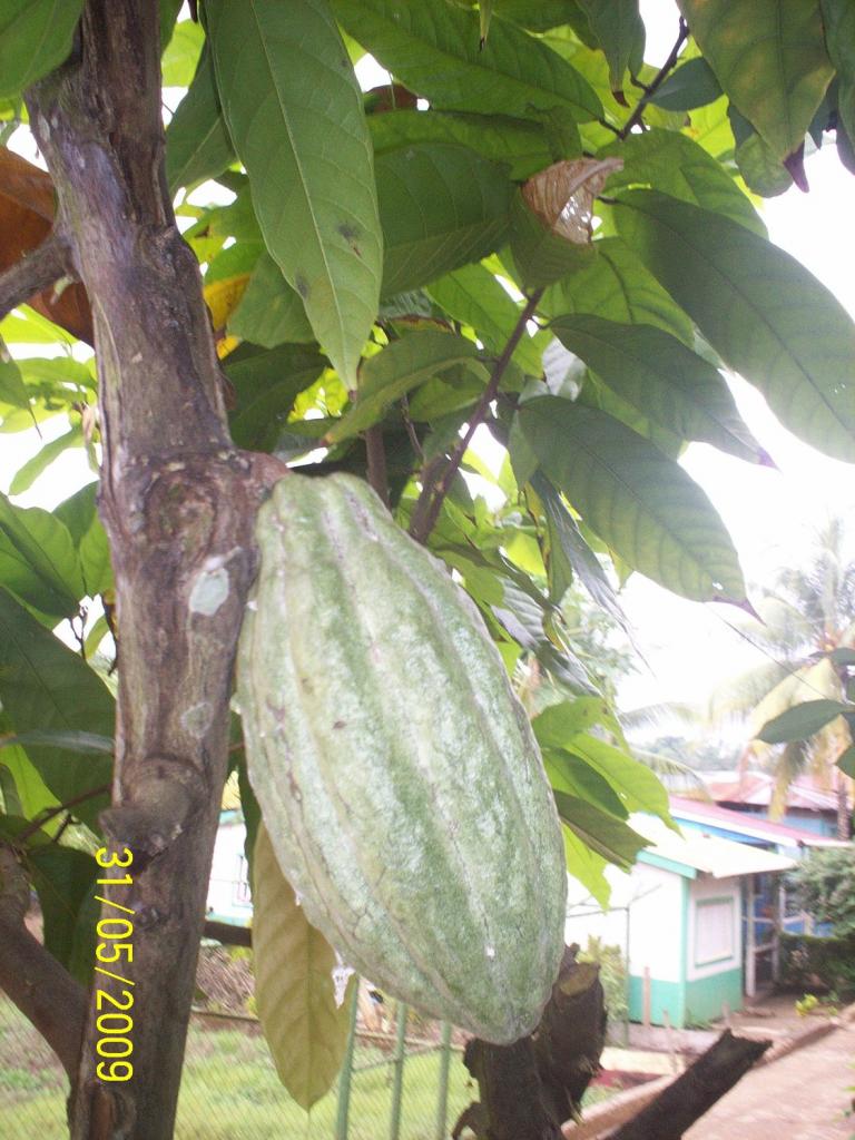 Foto de El Castillo (Rio San Juan), Nicaragua