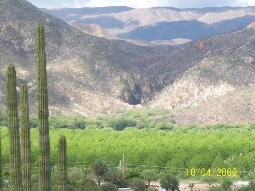 Foto de La Capilla de Baviacora (Sonora), México