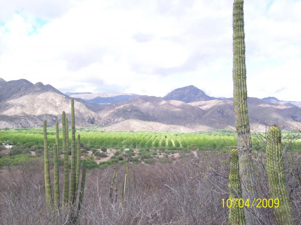 Foto de La Capilla de Baviacora (Sonora), México