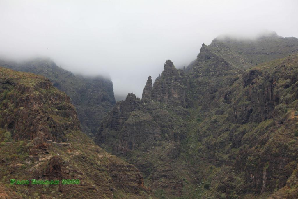 Foto de Adeje (Santa Cruz de Tenerife), España