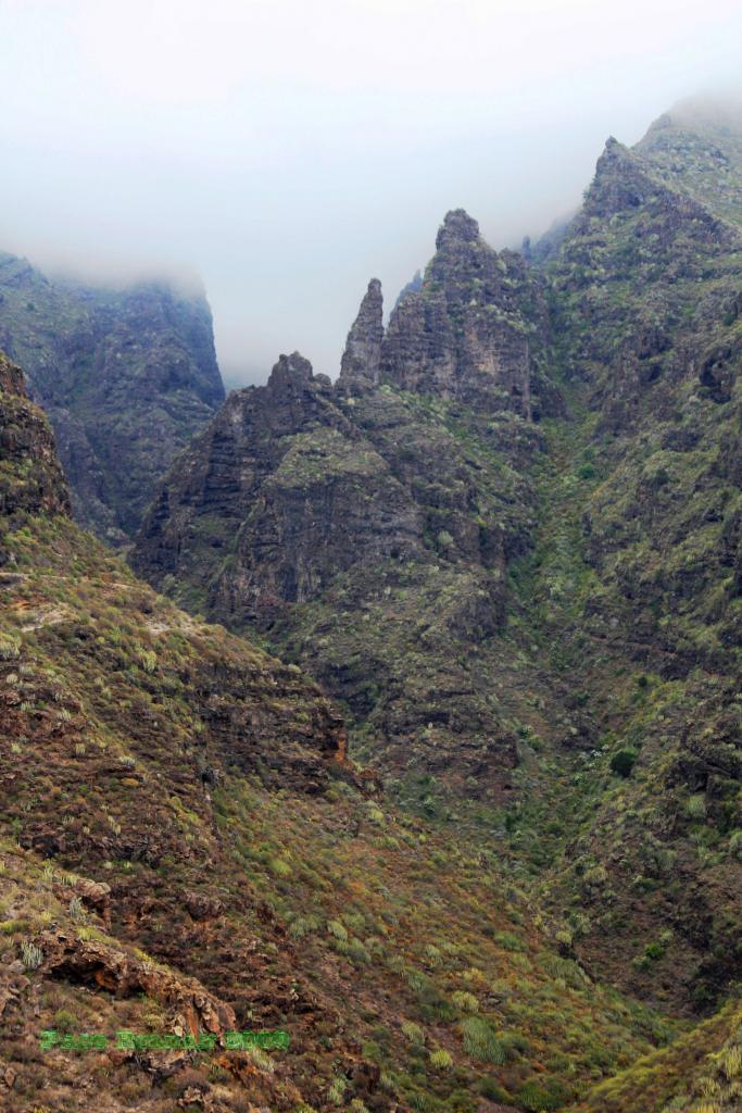 Foto de Adeje (Santa Cruz de Tenerife), España