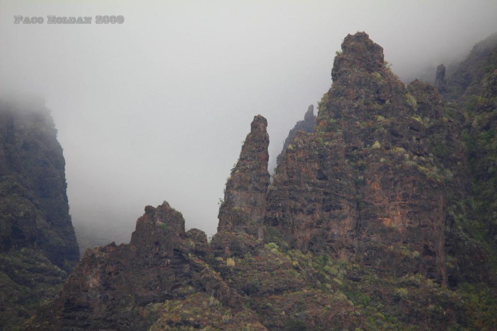 Foto de Adeje (Santa Cruz de Tenerife), España
