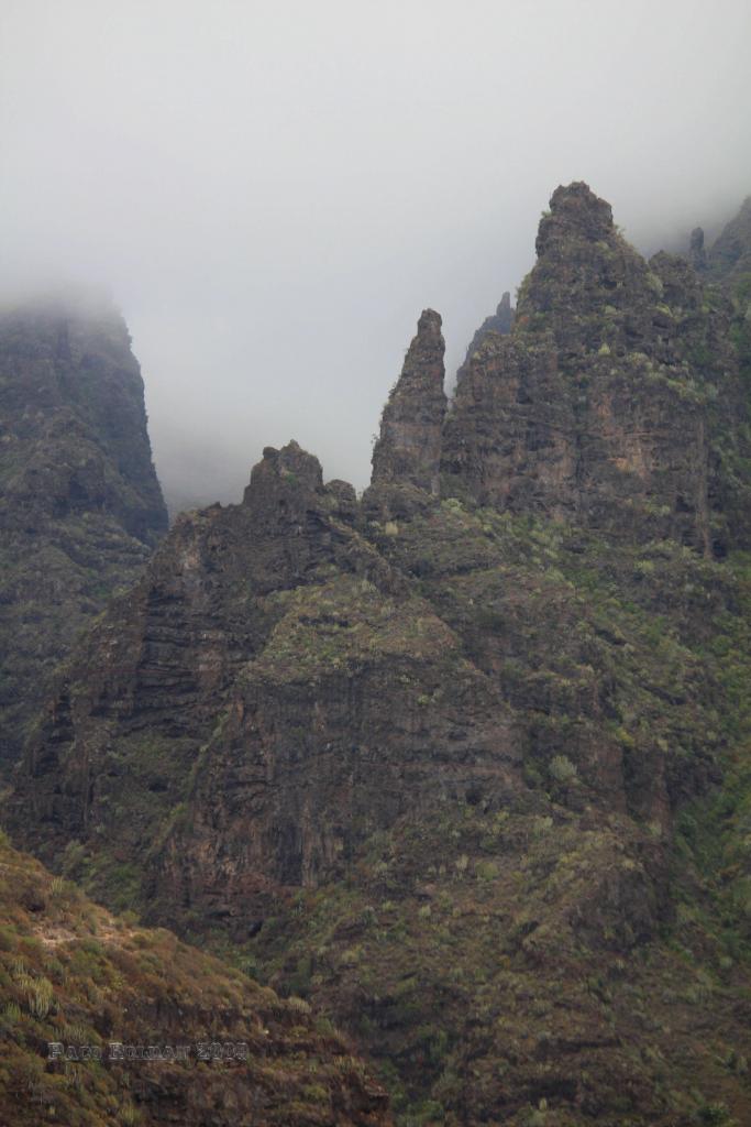 Foto de Adeje (Santa Cruz de Tenerife), España