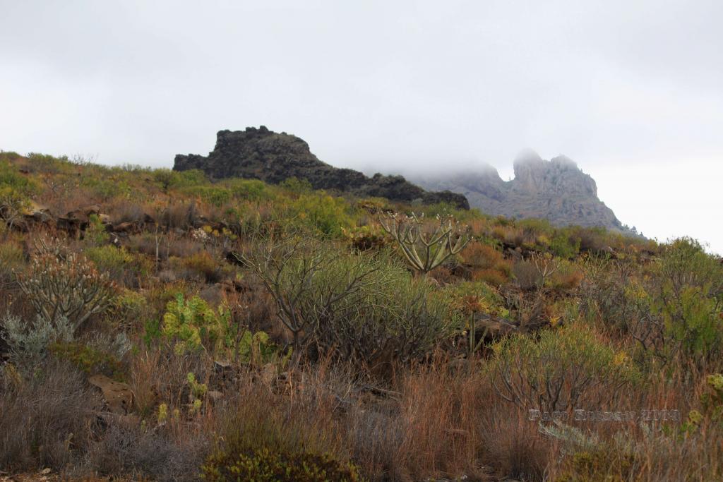 Foto de Adeje (Santa Cruz de Tenerife), España