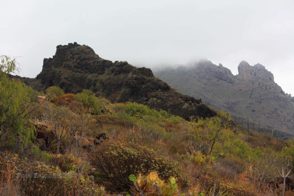 Foto de Adeje (Santa Cruz de Tenerife), España