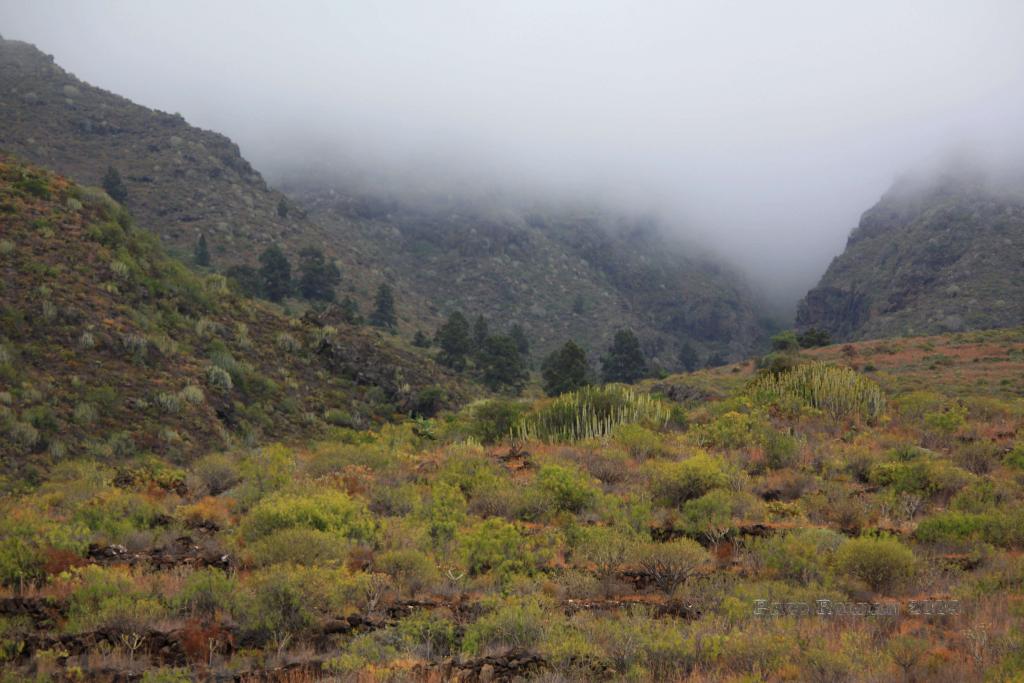 Foto de Adeje (Santa Cruz de Tenerife), España