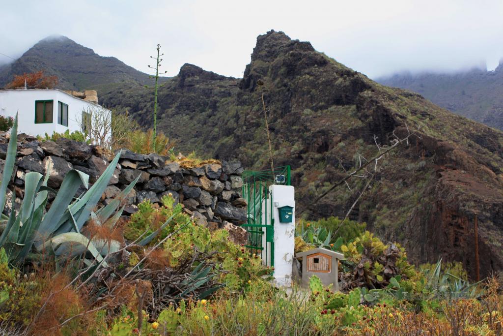 Foto de Adeje (Santa Cruz de Tenerife), España