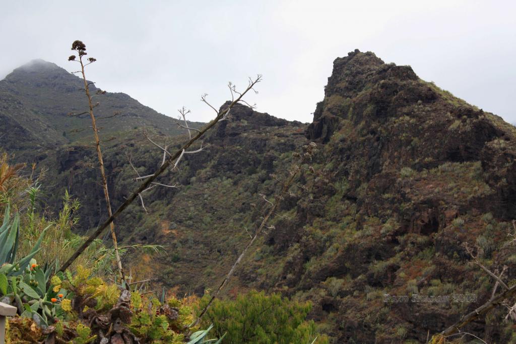Foto de Adeje (Santa Cruz de Tenerife), España