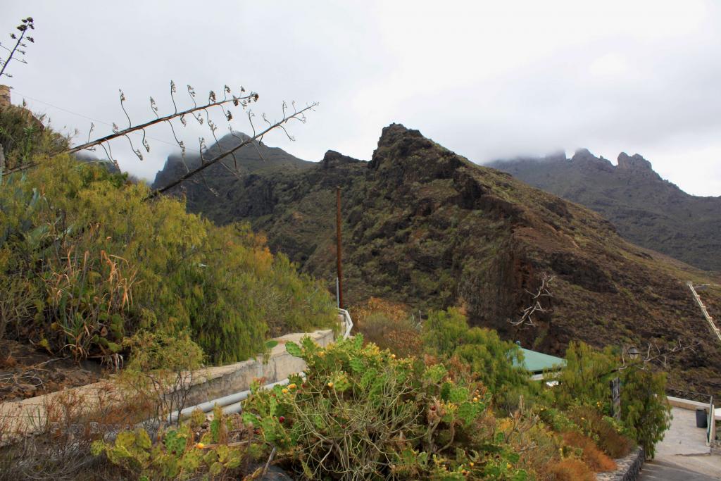 Foto de Adeje (Santa Cruz de Tenerife), España