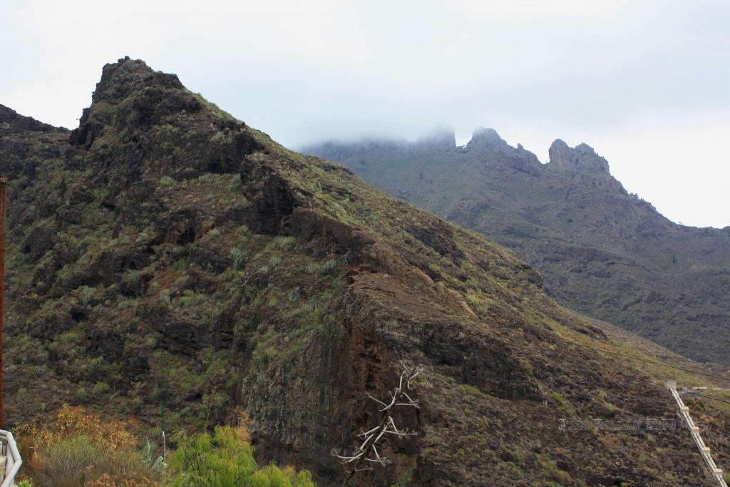 Foto de Adeje (Santa Cruz de Tenerife), España