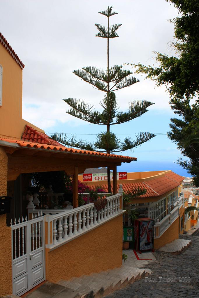 Foto de Adeje (Santa Cruz de Tenerife), España