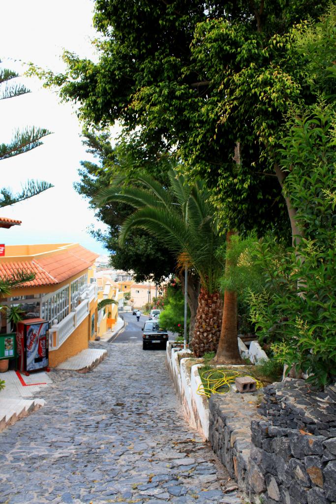 Foto de Adeje (Santa Cruz de Tenerife), España