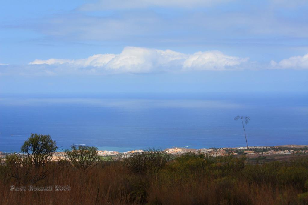 Foto de Adeje (Santa Cruz de Tenerife), España