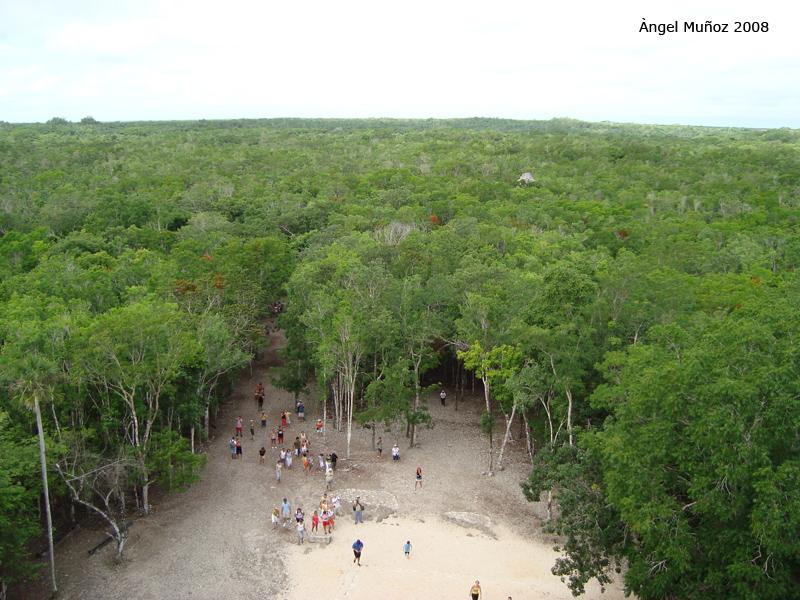 Foto de Cobá-Koba, México