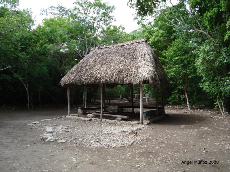 Foto de Cobá-Koba, México