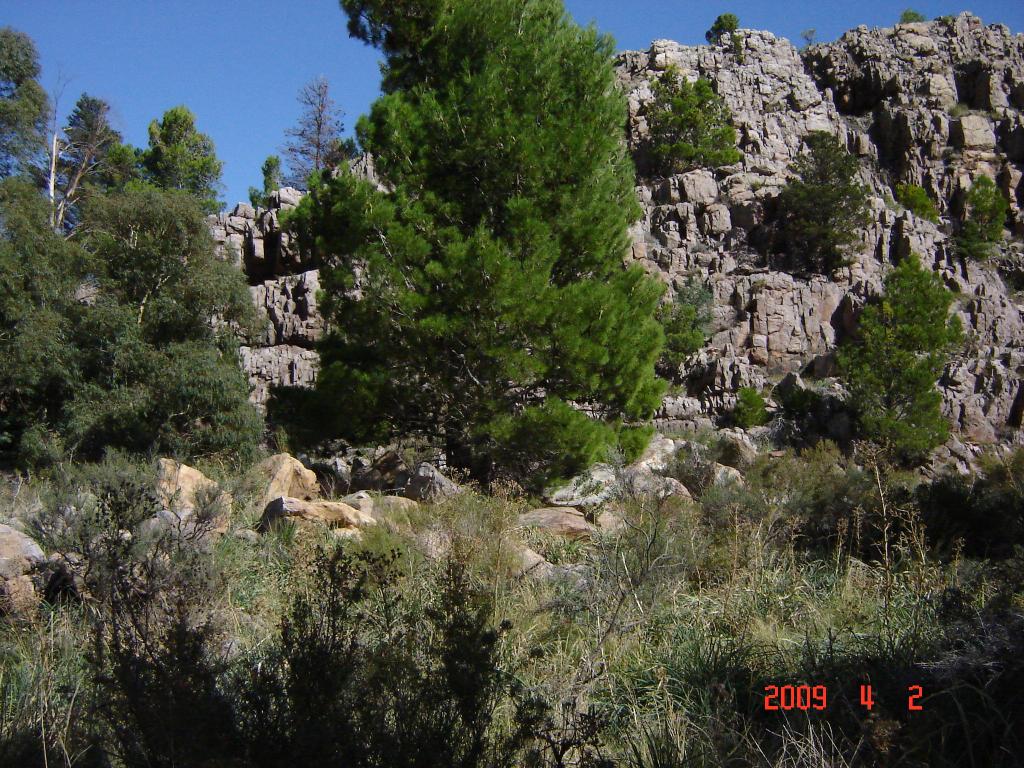 Foto de Sierra de la Ventana (Buenos Aires), Argentina