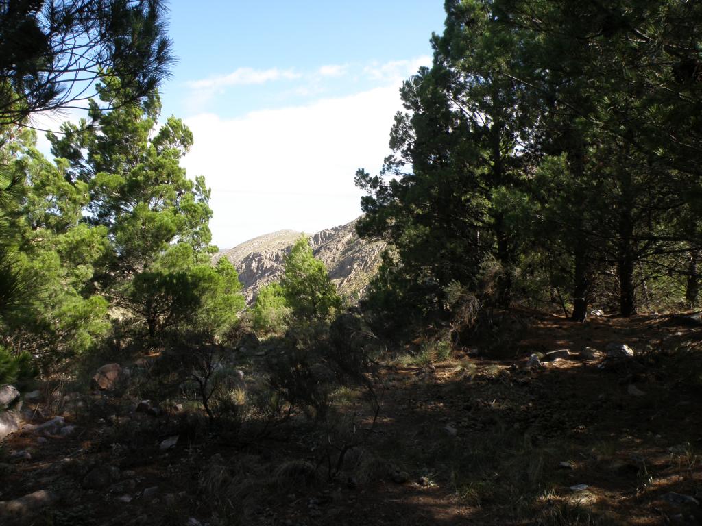 Foto de Sierra de la Ventana (Buenos Aires), Argentina