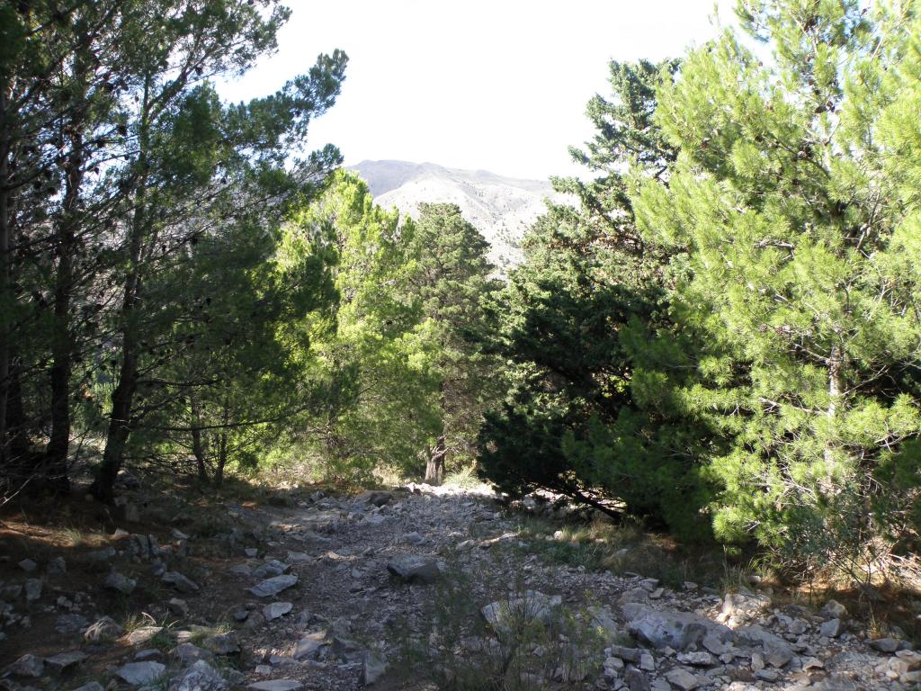 Foto de Sierra de la Ventana (Buenos Aires), Argentina
