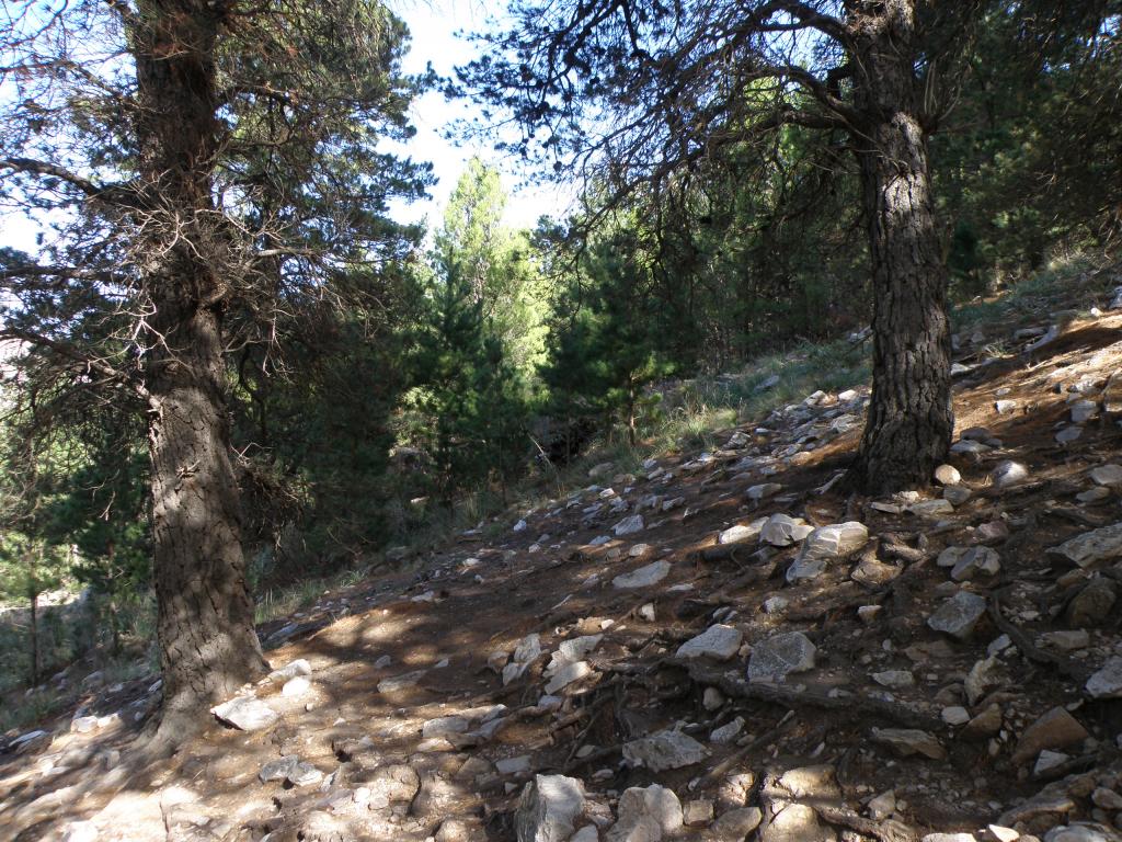 Foto de Sierra de la Ventana (Buenos Aires), Argentina