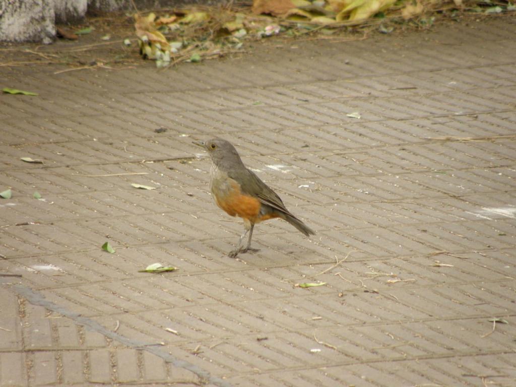 Foto de Buenos Aires, Argentina