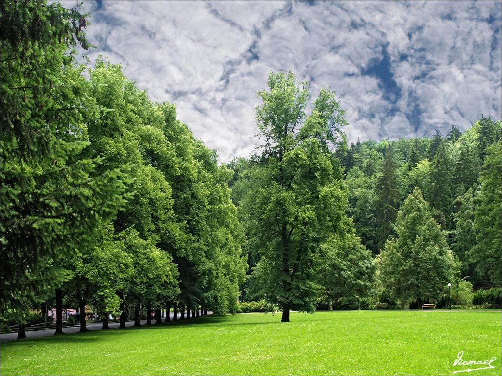 Foto de Karlovy Vary, República Checa