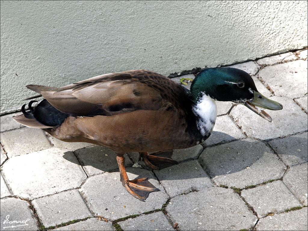 Foto de Karlovy Vary, República Checa
