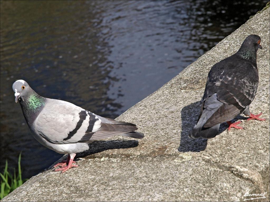Foto de Karlovy Vary, República Checa