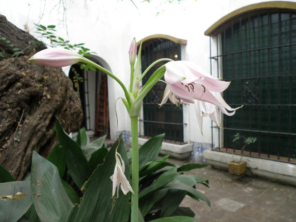 Foto de Buenos Aires, Argentina