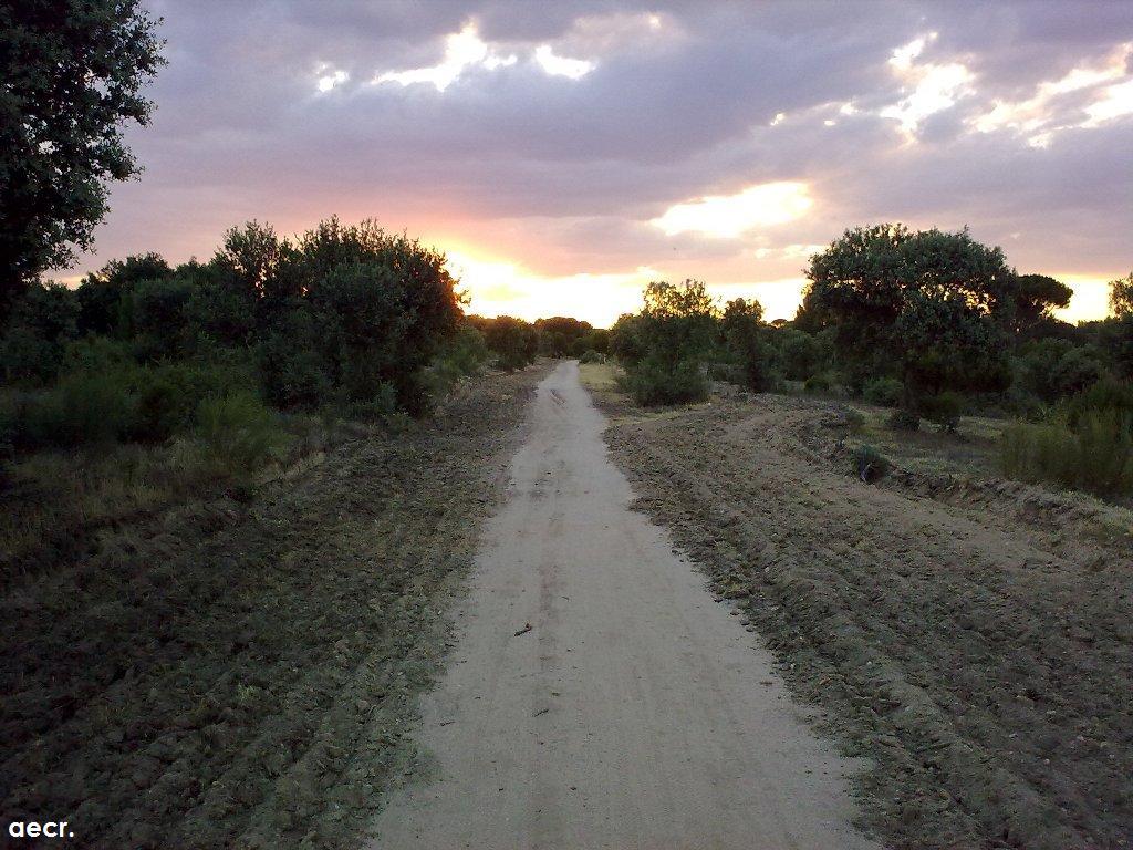 Foto de Boadilla del Monte (Madrid), España