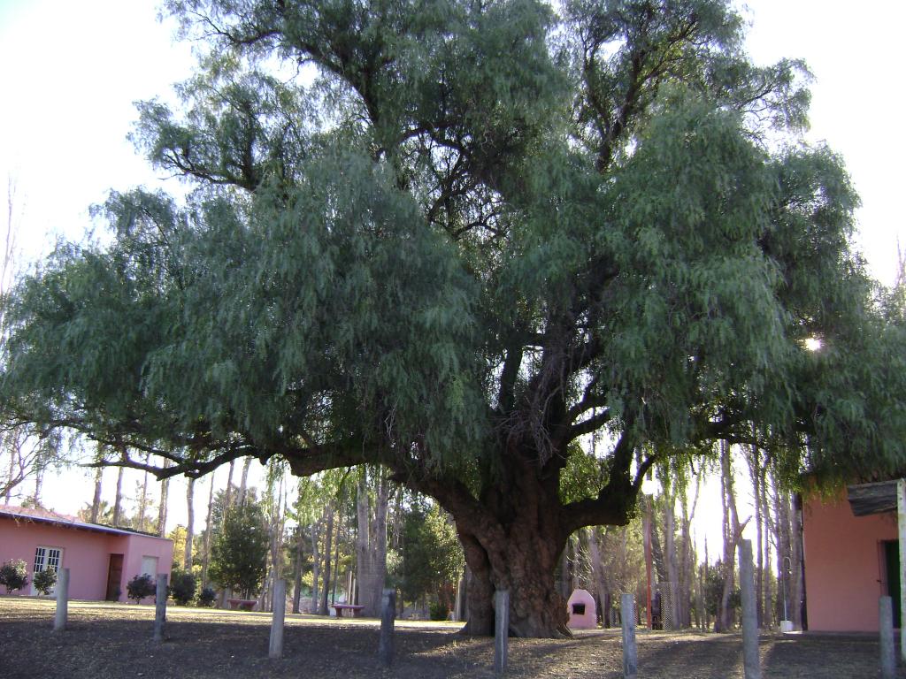 Foto de General Daniel Cerri, Argentina