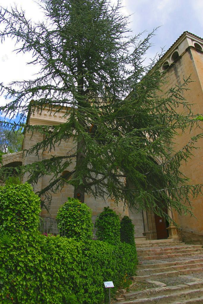 Foto de Graus (Huesca), España