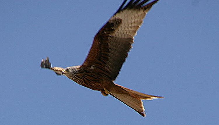 Foto de Hecho (Huesca), España