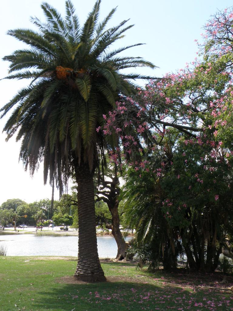 Foto de Buenos Aires, Argentina