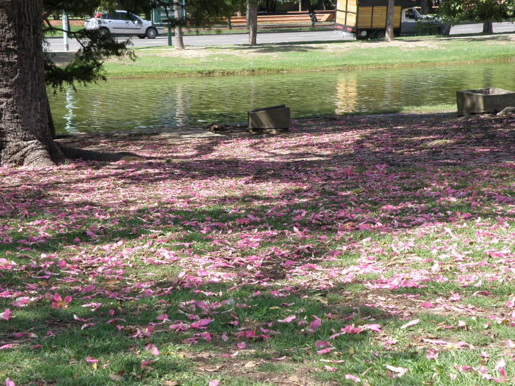 Foto de Buenos Aires, Argentina