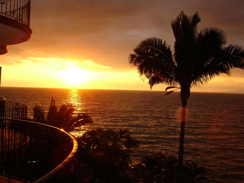 Foto de Puerto Vallarta (Jalisco), México