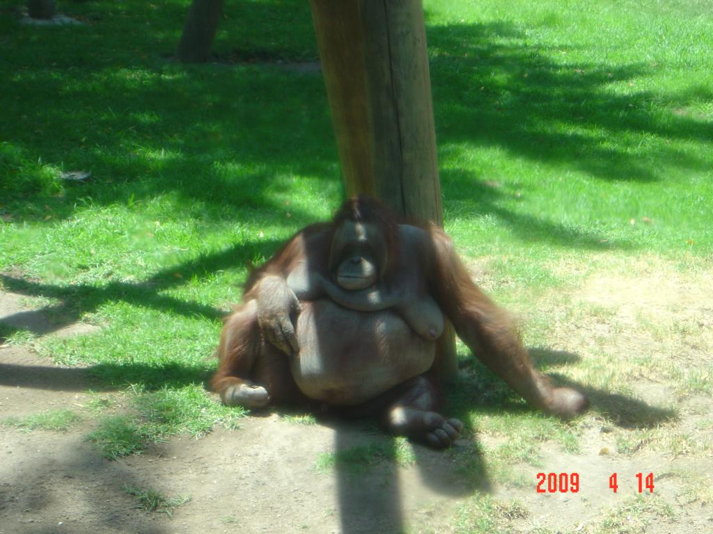 Foto de Guadalajara, México