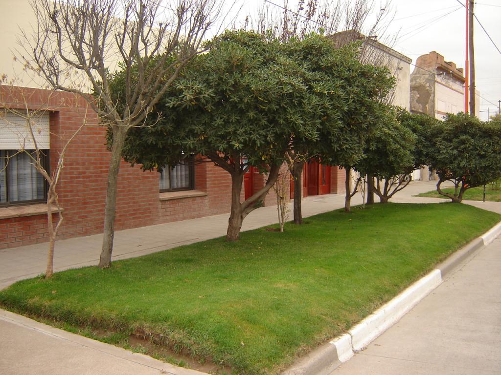 Foto de General Daniel Cerri, Argentina