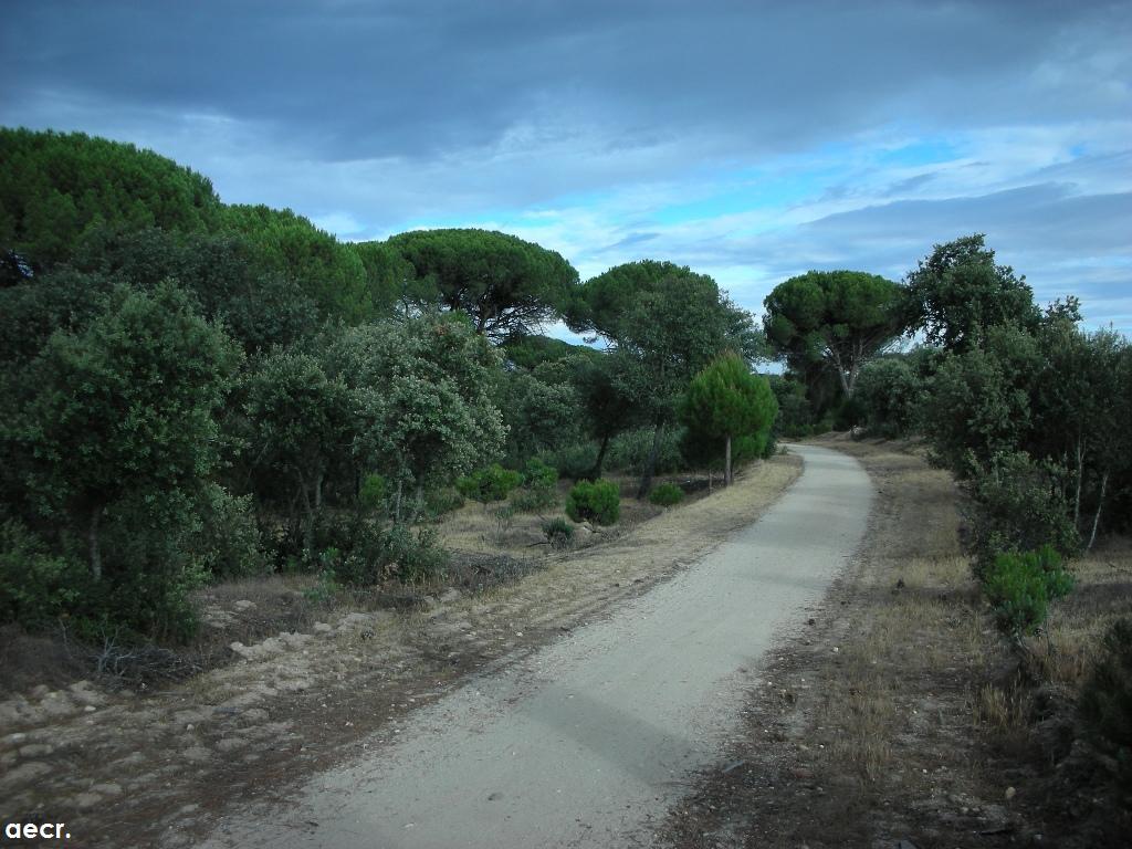 Foto de Majadahonda (Madrid), España