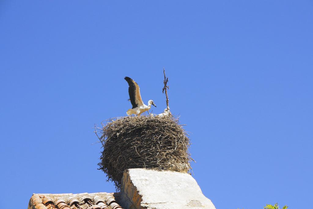 Foto de Villar de Corneja (Ávila), España